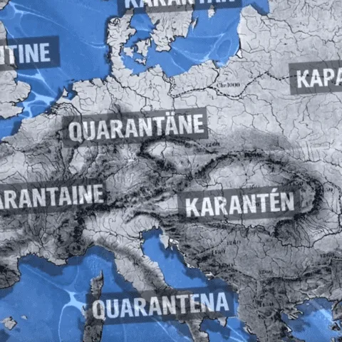 animierte dokus woerter im wandel twm 11 quarantine-min