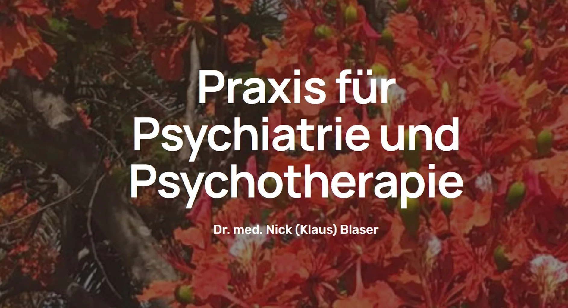 praxis blasernick 2