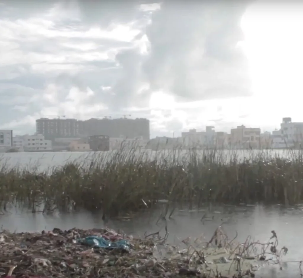 Story-of-Adyar-Chennai-Documentary-That-Works-Media_01 Story-of-Adyar-Chennai-Documentary-That-Works-Media_01